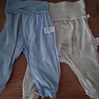 Штанишки 2 шт Little Fox: отзыв пользователя Детский Мир