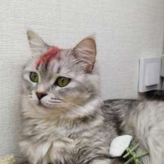 Фото отзыва 10599391