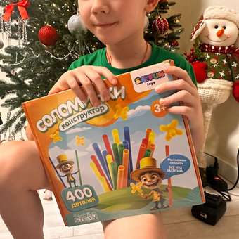 Конструктор SAYFUN toys 400 дет.: отзыв пользователя Детский Мир
