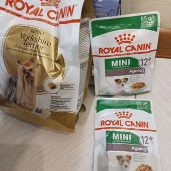 Корм для собак ROYAL CANIN Mini Ageing 12+ для стареющих собак мелких размеров 85г: отзыв пользователя. Зоомагазин Зоозавр