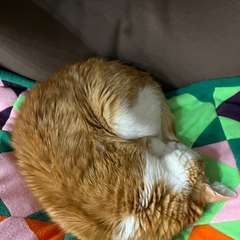 Фото отзыва 10967805