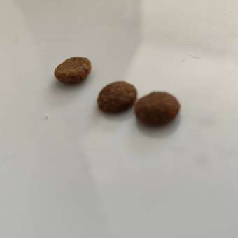 Корм для кошек Darsi 0.3кг Sterilised курица: отзыв пользователя магазина низких цен ЕЩЁ