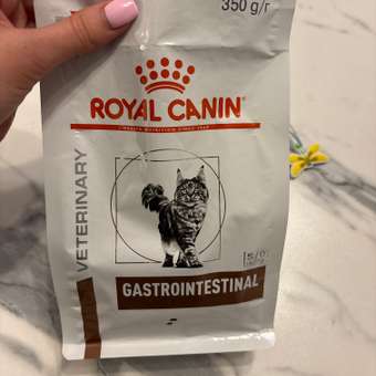 Корм для кошек ROYAL CANIN 350г Gastrointestinal: отзыв пользователя. Зоомагазин Зоозавр