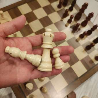 Настольная игра TrendToys Шахматы и шашки: отзыв пользователя Детский Мир