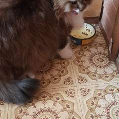 Фото отзыва 11050883