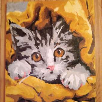 Картина по номерам Hobby Paint Котёнок в ассортименте: отзыв пользователя Детский Мир