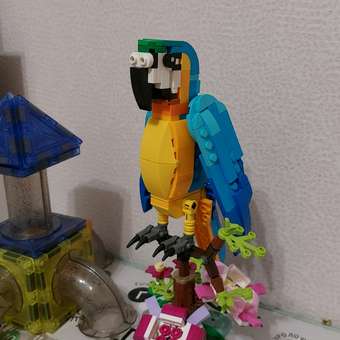 Конструктор LEGO Creator Exotic Parrot 253 дет.: отзыв пользователя ДетМир