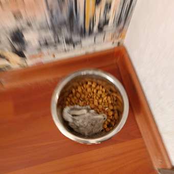 Корм ROYAL CANIN Sterilised 37 сухой 0.2кг для стерилизованных кошек: отзыв пользователя. Зоомагазин Зоозавр
