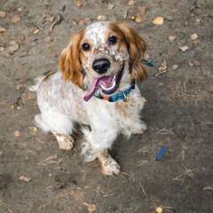 Фото отзыва 10627662