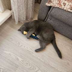 Фото отзыва 9714174