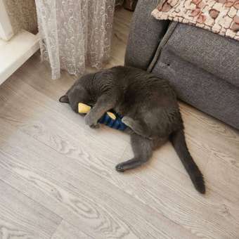 Игрушка для кошек Barbaks Окунь Кузьма с кошачьей мятой 7*21см: отзыв пользователя. Зоомагазин Зоозавр