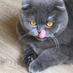 Фото отзыва 10937022