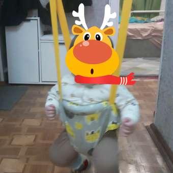 Прыгунки подвесные Babyton: отзыв пользователя Детский Мир