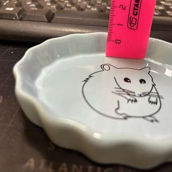 Миска для мелких животных Triol Хомка керамическая 55мл: отзыв пользователя. Зоомагазин Зоозавр