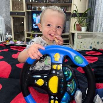 Игрушка HOFFMANN руль: отзыв пользователя Детский Мир