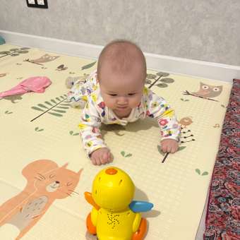 Игрушка BabyGo Утка: отзыв пользователя ДетМир