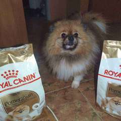 Фото отзыва 10804186