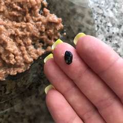 Фото отзыва 3952196