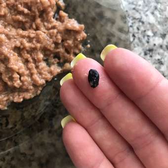 Корм влажный для кошек Четвероногий Гурман 190г мясное ассорти с перепелкой: отзыв пользователя. Зоомагазин Зоозавр