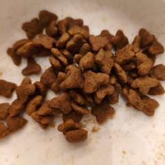 Фото отзыва 10720850