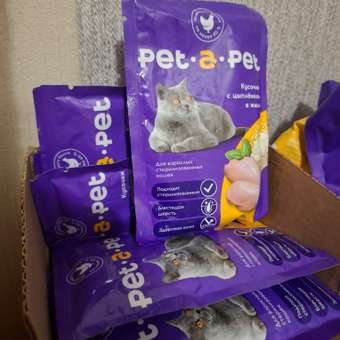 Корм для кошек Pet-a-Pet 85г стерилизованных Кусочки с цыпленком в желе пауч: отзыв пользователя. Зоомагазин Зоозавр