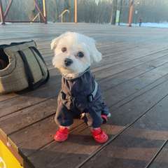 Фото отзыва 11258517