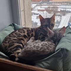 Фото отзыва 10779972