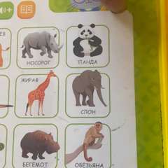 Видео отзыва 10799083