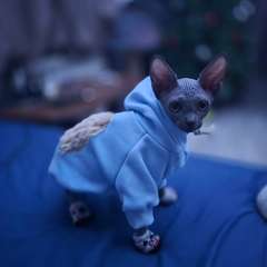 Фото отзыва 11170748