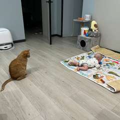 Фото отзыва 10599444