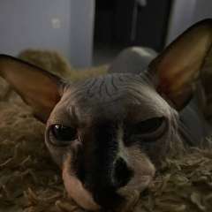 Фото отзыва 10729436