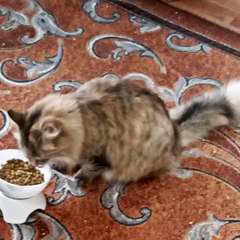 Фото отзыва 10752325