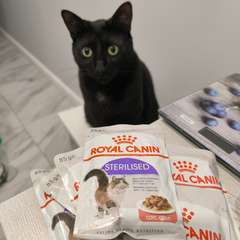 Фото отзыва 11275315