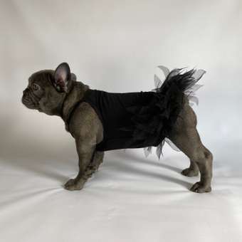 Платье для собак и кошек Зоозавр: отзыв пользователя. Зоомагазин Зоозавр