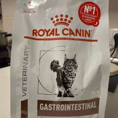 Фото отзыва 10724917