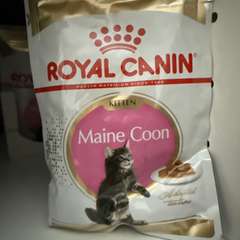 Фото отзыва 10726949