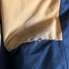 Фото отзыва 8808340