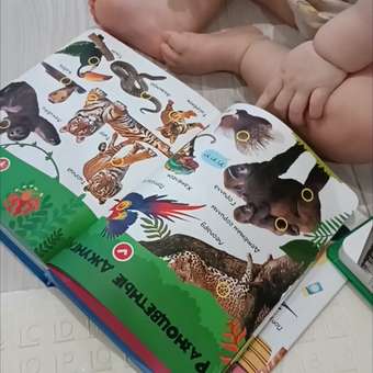 Комплект говорящих книжек BertToys Нажималки: Животные + Я и Мир Вокруг: отзыв пользователя Детский Мир