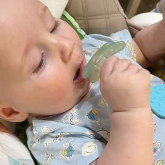 Пустышка Canpol Babies силикон от 6 мес. 1 шт.: отзыв пользователя Детский Мир