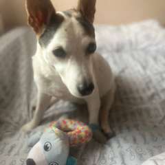 Фото отзыва 10504803