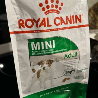 Корм для собак ROYAL CANIN мелких пород 800г: отзыв пользователя. Зоомагазин Зоозавр