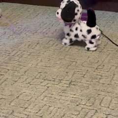 Видео отзыва 8247516