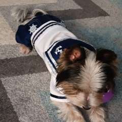 Фото отзыва 10535691