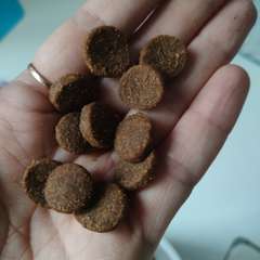 Фото отзыва 10652976