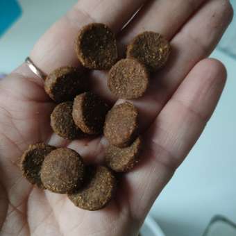 Корм для собак Brit 1кг Premium Dog Puppy and Junior Medium с курицей: отзыв пользователя. Зоомагазин Зоозавр