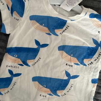 Футболка BabyGo: отзыв пользователя Детский Мир