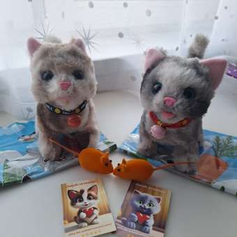 Мягкая игрушка котик 17 см: отзыв пользователя Детский Мир