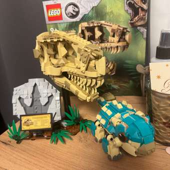 Конструктор LEGO Jurassic World Череп T-Rex 577 дет.: отзыв пользователя Детский Мир