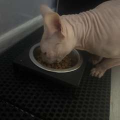 Фото отзыва 10764278