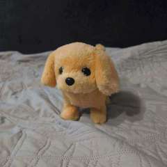 Фото отзыва 11017155